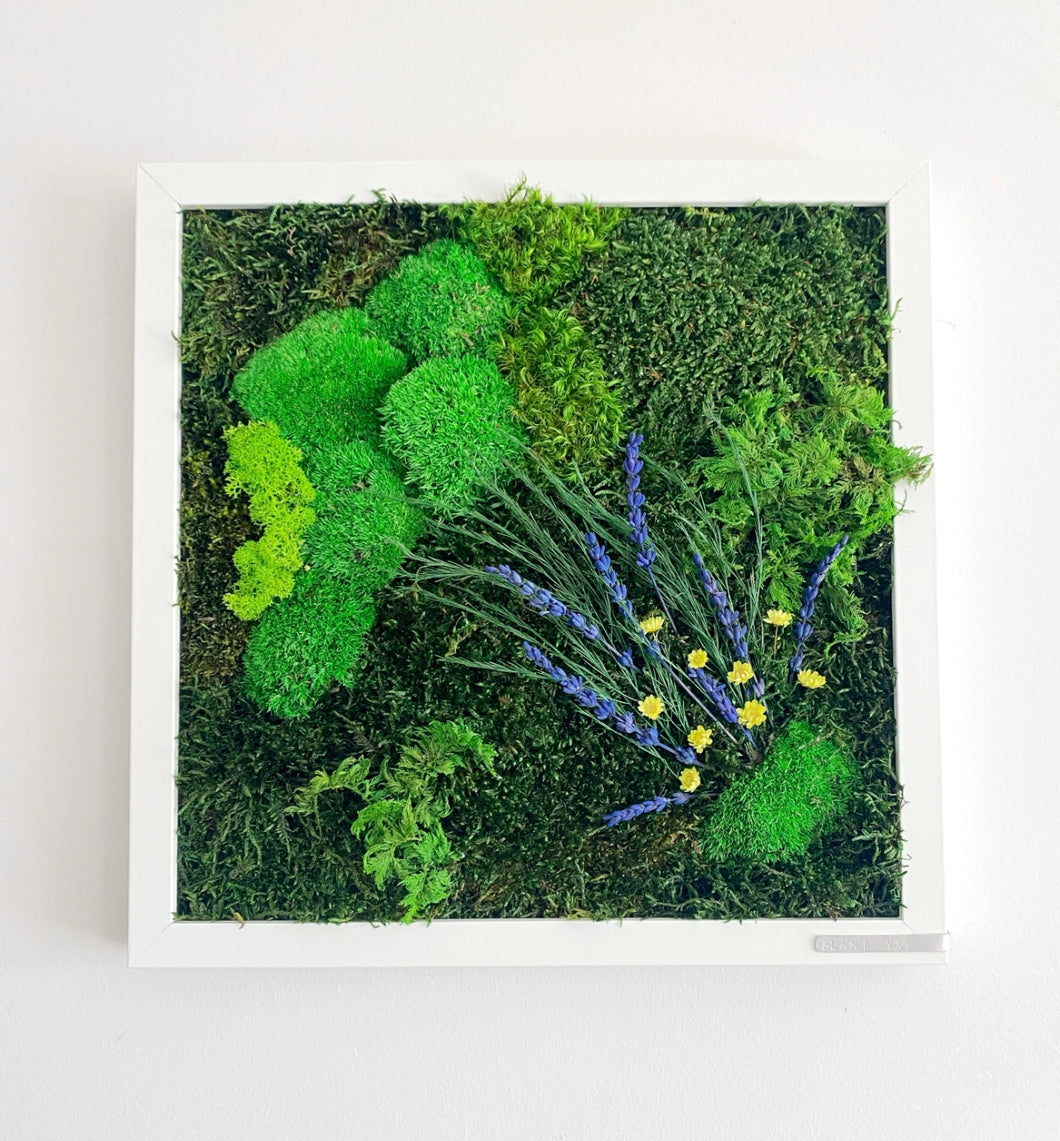 12” x 12” Moss Wall Art - YOUR CHOICE custom order