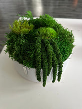 Load image into Gallery viewer, White Porcelain Moss Bowl
