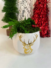 Load image into Gallery viewer, Stag Head Moss Bowl
