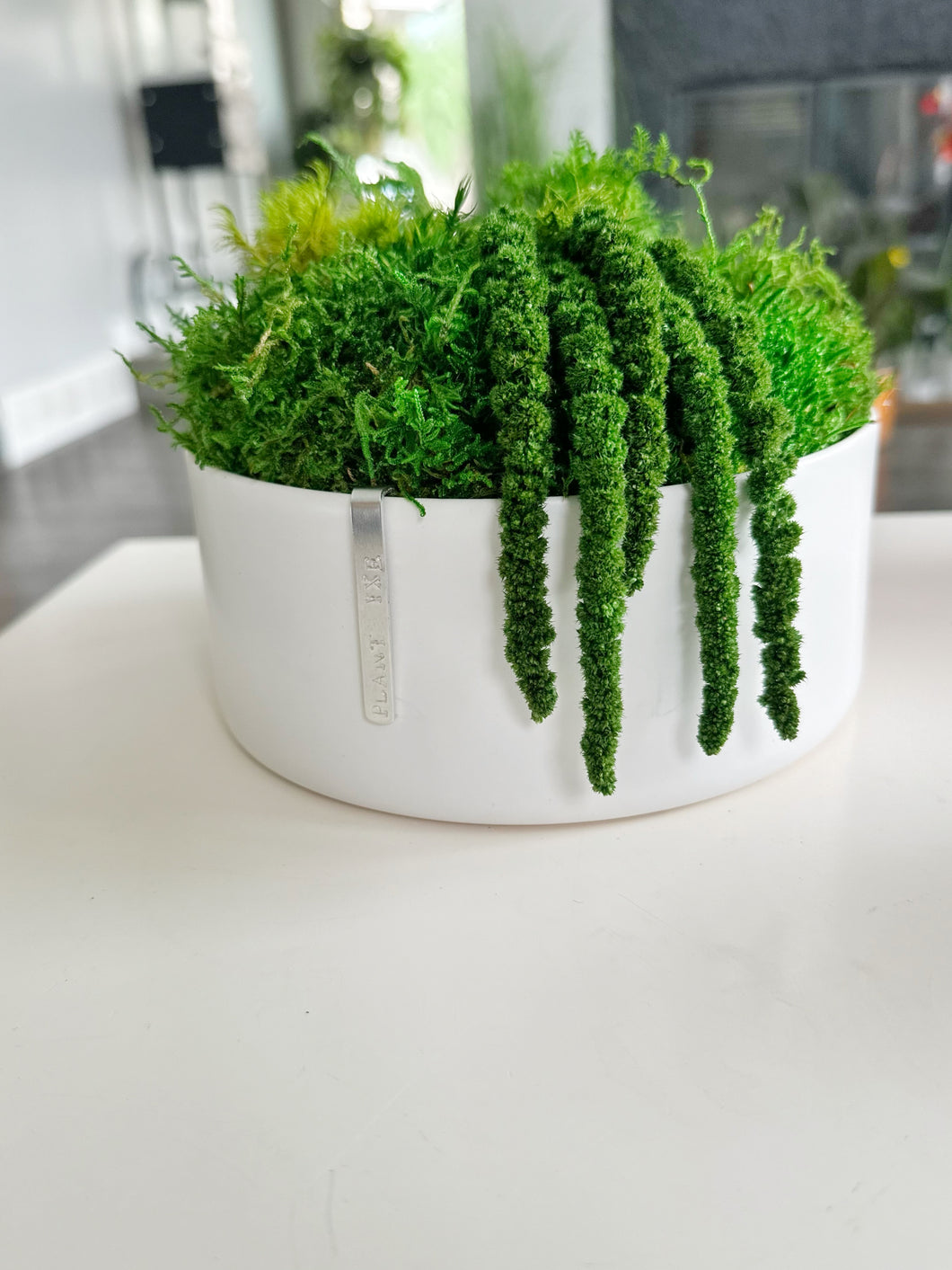 White Porcelain Moss Bowl