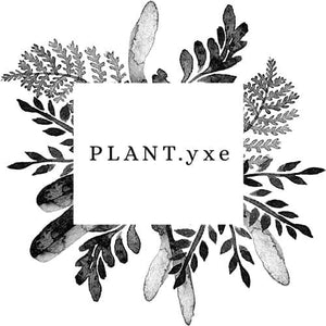PLANT.yxe