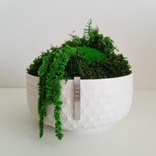 Load image into Gallery viewer, 6&quot; Byss Moss Bowl - Made to order
