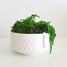 Load image into Gallery viewer, 6&quot; Bixby Moss Bowl
