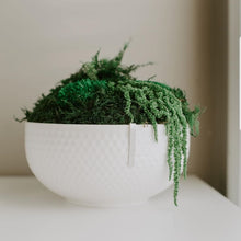 Load image into Gallery viewer, 8&quot; Augusta Moss Bowl
