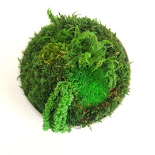 Load image into Gallery viewer, 6&quot; Byss Moss Bowl - Made to order
