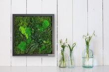 Load image into Gallery viewer, 12” x 12” Moss Wall Art - Greens
