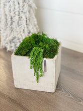 Load image into Gallery viewer, 6&quot; Smooth Concrete Moss Bowl
