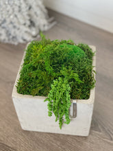 Load image into Gallery viewer, 6&quot; Smooth Concrete Moss Bowl
