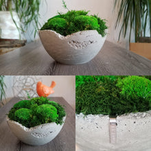 Load image into Gallery viewer, 9.5&quot; Distressed Concrete Moss Bowl
