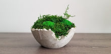 Load image into Gallery viewer, 9.5&quot; Distressed Concrete Moss Bowl
