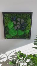 Load and play video in Gallery viewer, 12” x 12” Moss Wall Art - Eucalyptus + Lavender
