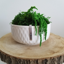 Load image into Gallery viewer, 6&quot; Bixby Moss Bowl
