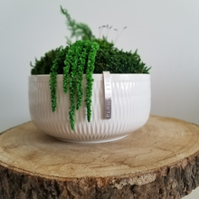 Load image into Gallery viewer, 6&quot; Barnes Moss Bowl - Made to order in
