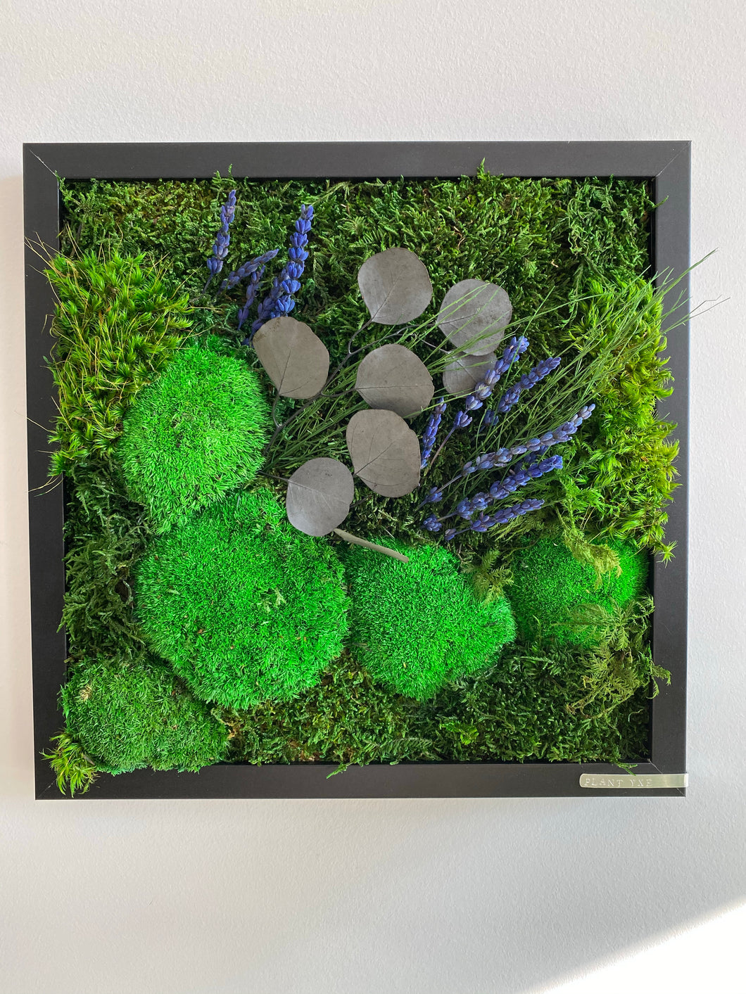 12” x 12” Moss Wall Art - Eucalyptus + Lavender