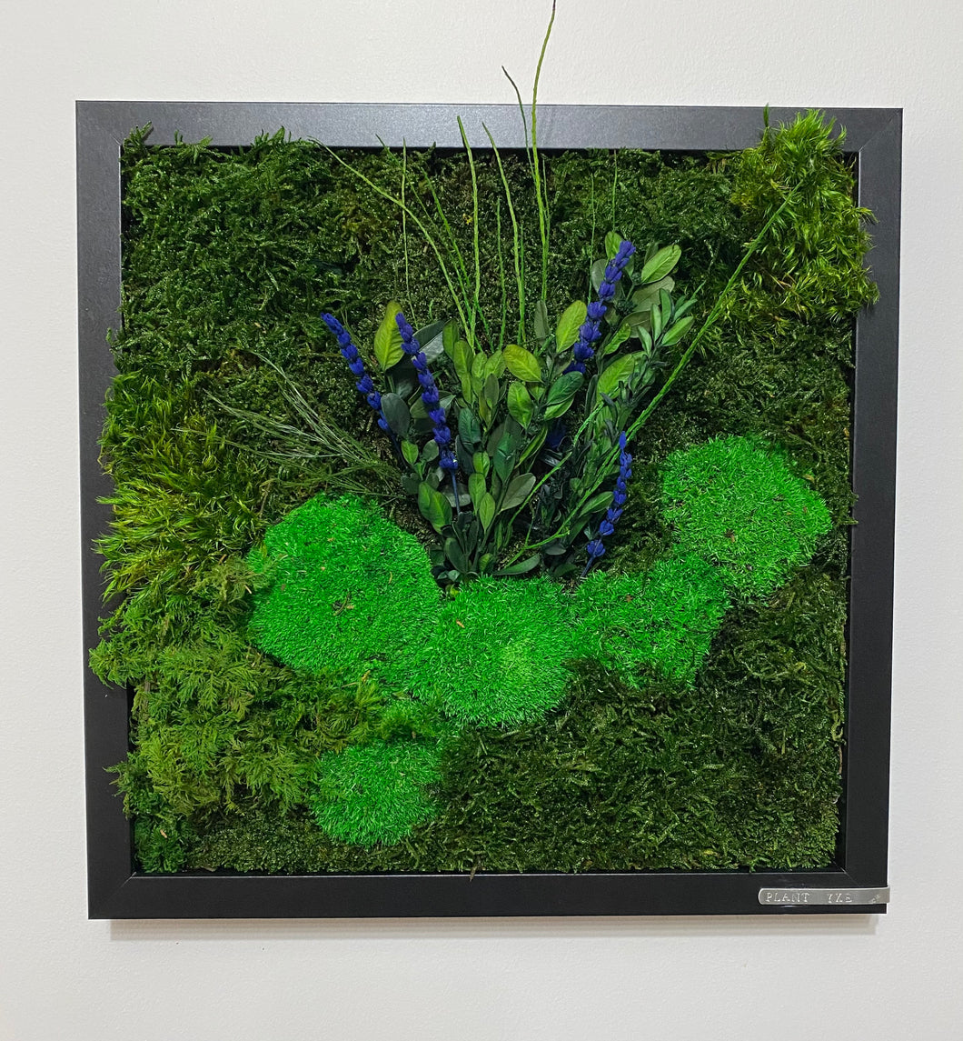 12” x 12” Moss Wall Art - Lavender + Buxus