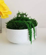 Load image into Gallery viewer, 6&quot; Bell Moss Bowl - Made to order
