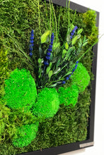 Load image into Gallery viewer, 12” x 12” Moss Wall Art - Lavender + Buxus
